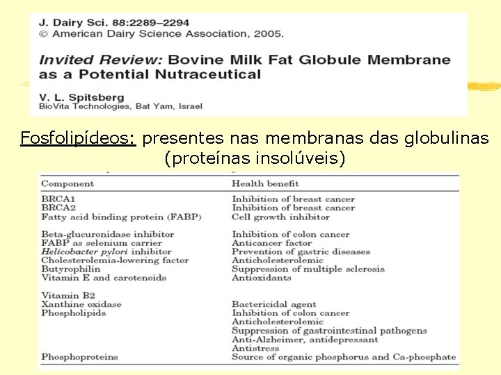Fosfolipídeos: presentes nas membranas das globulinas (proteínas insolúveis) 