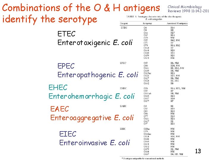 Combinations of the O & H antigens identify the serotype Clinical Microbiology Reviews 1998