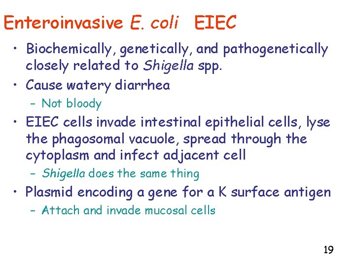 Enteroinvasive E. coli EIEC • Biochemically, genetically, and pathogenetically closely related to Shigella spp.