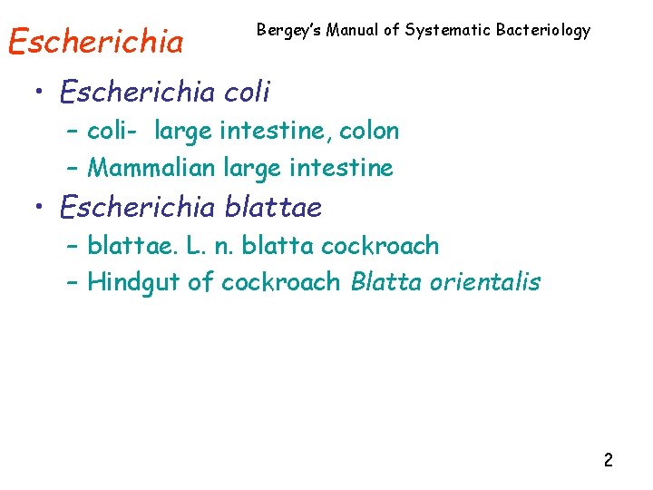 Escherichia Bergey’s Manual of Systematic Bacteriology • Escherichia coli – coli- large intestine, colon