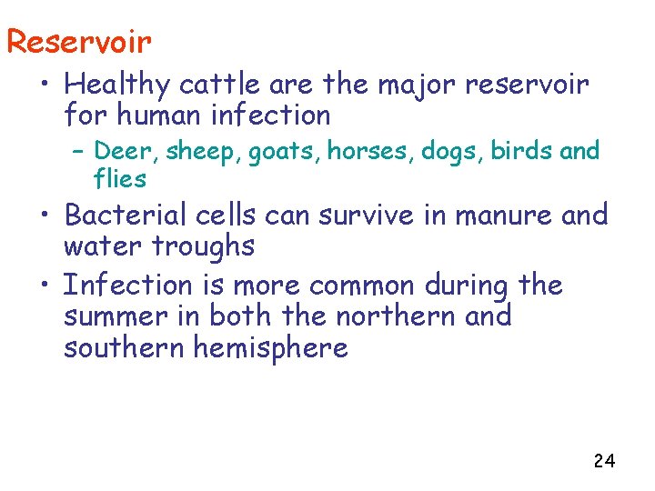 Reservoir • Healthy cattle are the major reservoir for human infection – Deer, sheep,