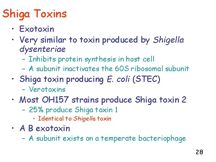 Shiga Toxins • Exotoxin • Very similar to toxin produced by Shigella dysenteriae –