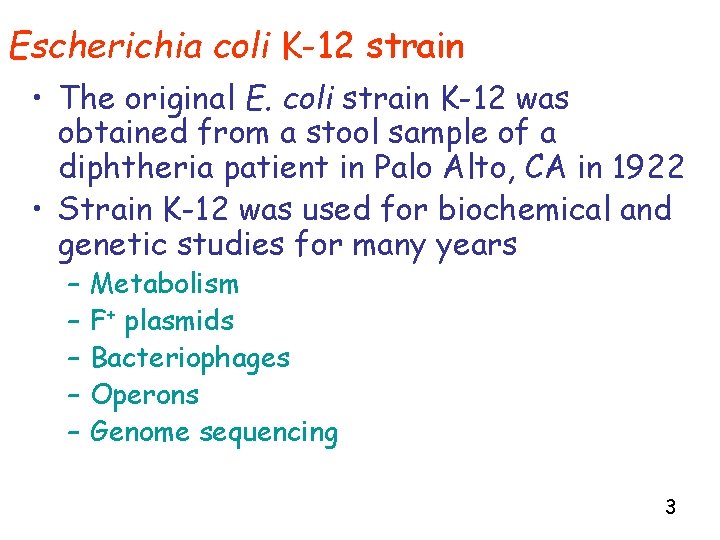 Escherichia coli K-12 strain • The original E. coli strain K-12 was obtained from