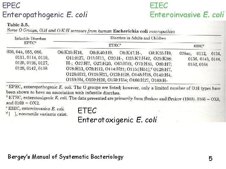 EPEC Enteropathogenic E. coli EIEC Enteroinvasive E. coli ETEC Enterotoxigenic E. coli Bergey’s Manual