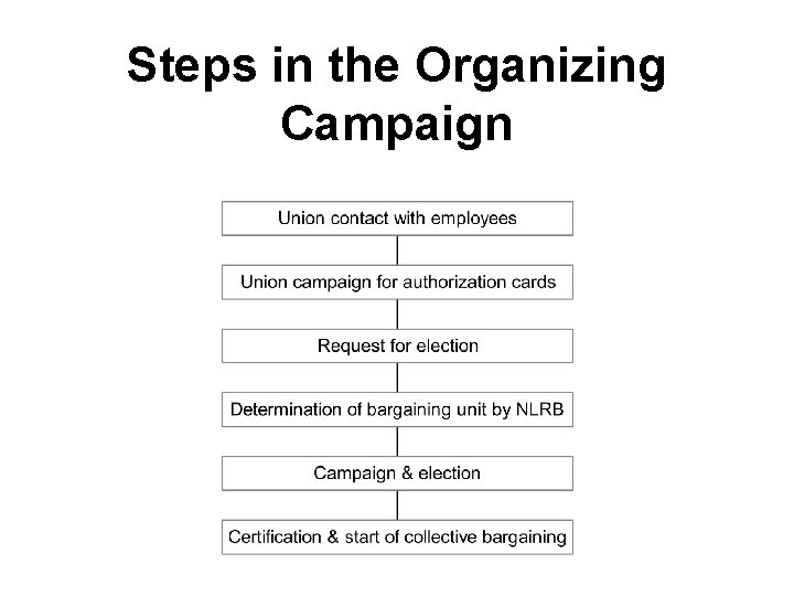 Steps in the Organizing Campaign 