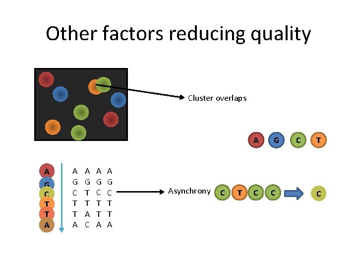 Other factors reducing quality Cluster overlaps A A G C T T A A