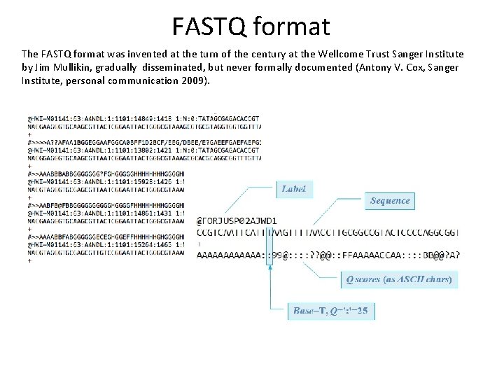 FASTQ format The FASTQ format was invented at the turn of the century at FASTQ format The FASTQ format was invented at the turn of the century at