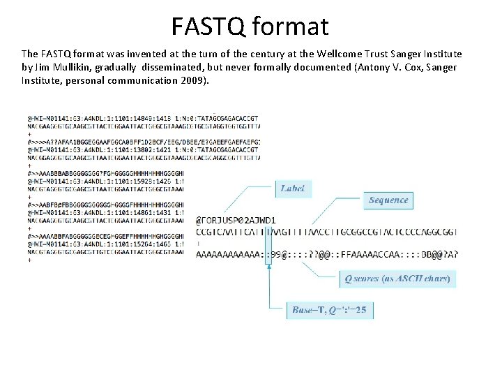 FASTQ format The FASTQ format was invented at the turn of the century at