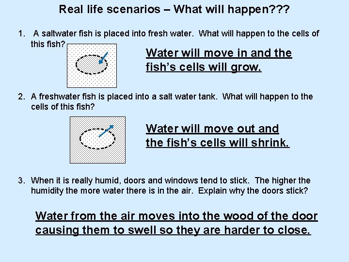 Real life scenarios – What will happen? ? ? 1. A saltwater fish is
