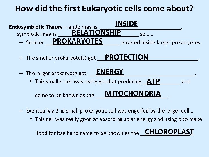 How did the first Eukaryotic cells come about? INSIDE Endosymbiotic Theory – endo means