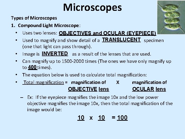Microscopes Types of Microscopes 1. Compound Light Microscope: • Uses two lenses: OBJECTIVES and