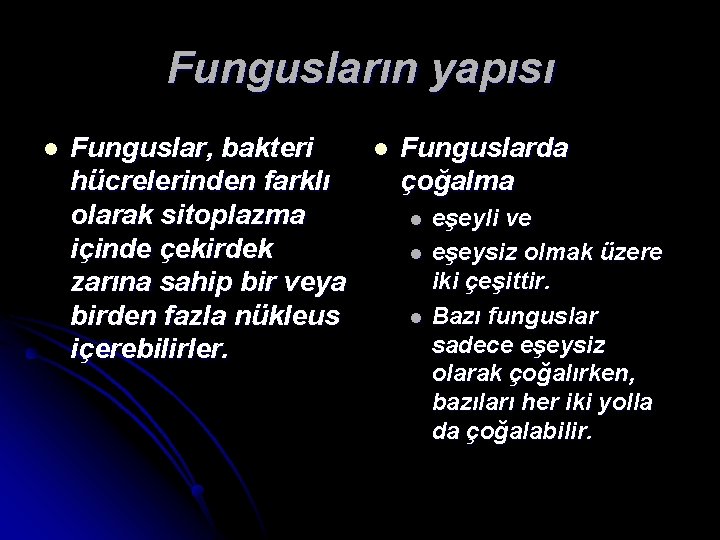 Fungusların yapısı l Funguslar, bakteri hücrelerinden farklı olarak sitoplazma içinde çekirdek zarına sahip bir