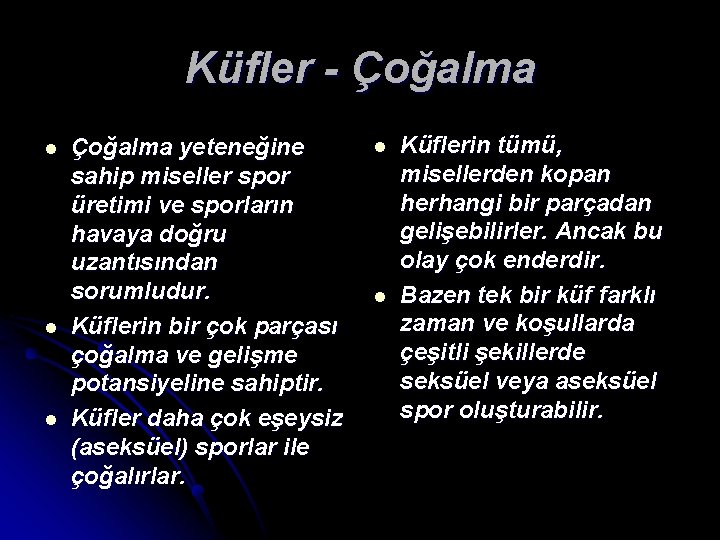 Küfler - Çoğalma l l l Çoğalma yeteneğine sahip miseller spor üretimi ve sporların