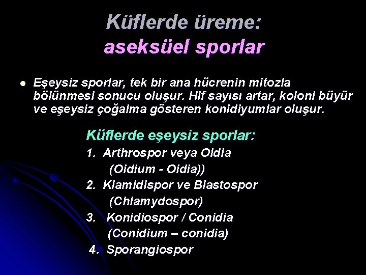 Küflerde üreme: aseksüel sporlar l Eşeysiz sporlar, tek bir ana hücrenin mitozla bölünmesi sonucu