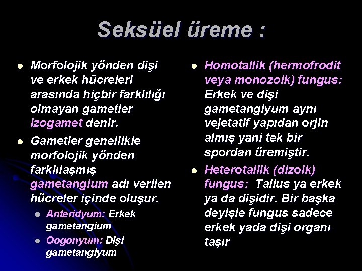 Seksüel üreme : l l Morfolojik yönden dişi ve erkek hücreleri arasında hiçbir farklılığı