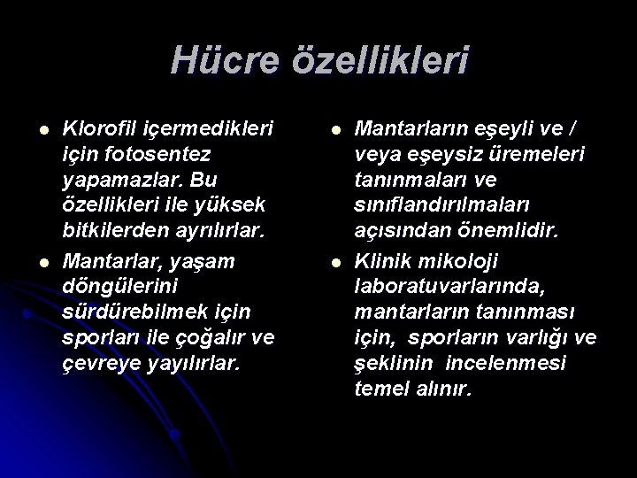 Hücre özellikleri l l Klorofil içermedikleri için fotosentez yapamazlar. Bu özellikleri ile yüksek bitkilerden
