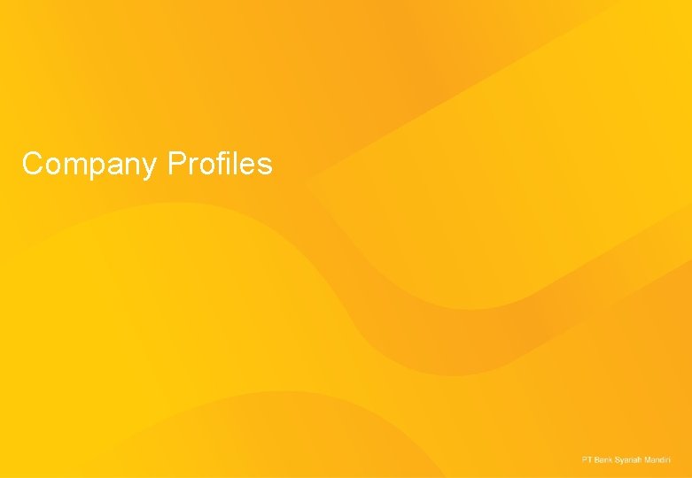 Company Profiles 