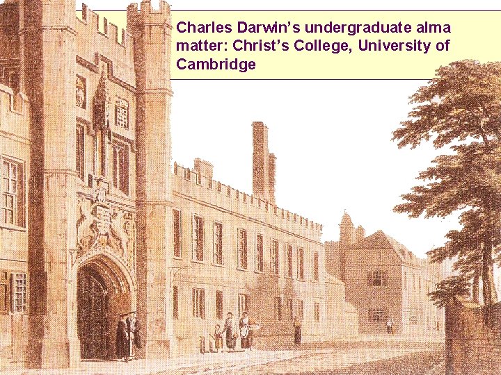 Charles Darwin’s undergraduate alma matter: Christ’s College, University of Cambridge 