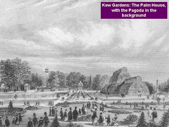 Kew Gardens: The Palm House, with the Pagoda in the background 