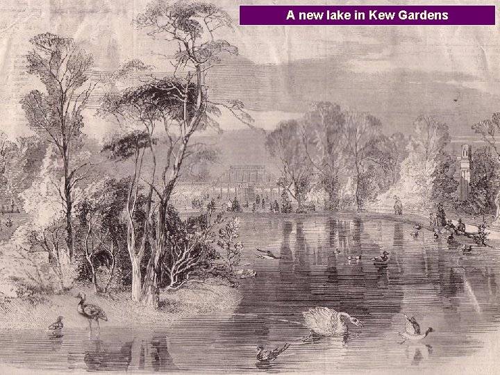 A new lake in Kew Gardens 