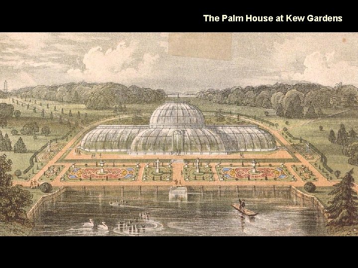 The Palm House at Kew Gardens 