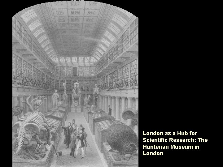 London as a Hub for Scientific Research: The Hunterian Museum in London 