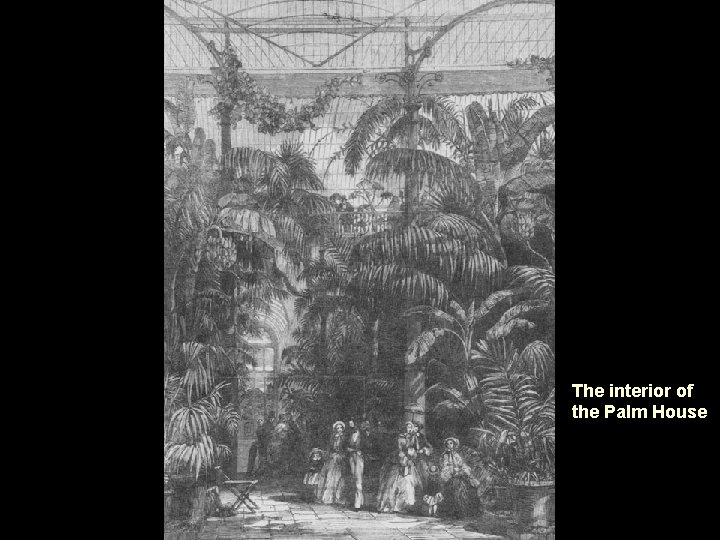 The interior of the Palm House 