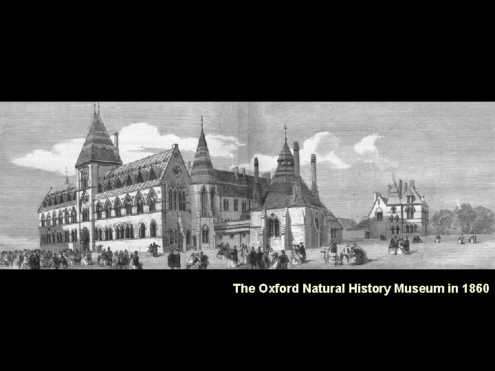The Oxford Natural History Museum in 1860 