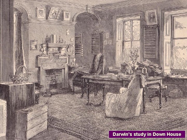 Darwin’s study in Down House 