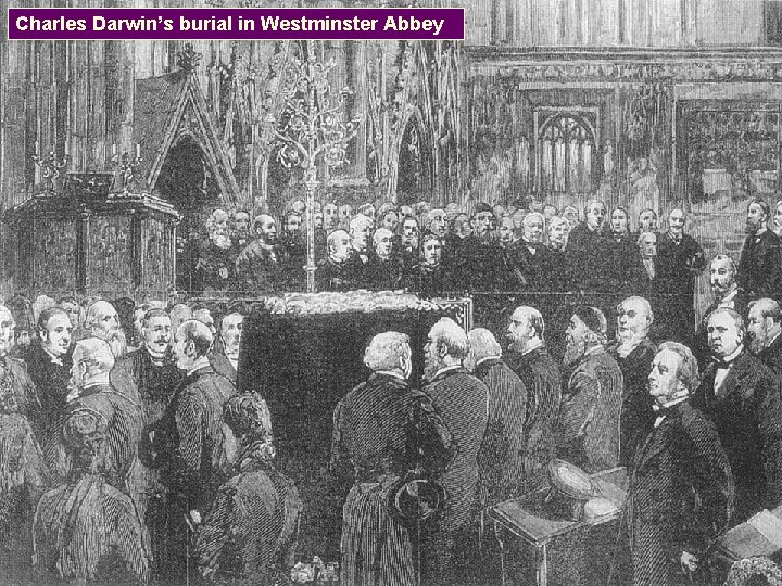 Charles Darwin’s burial in Westminster Abbey 