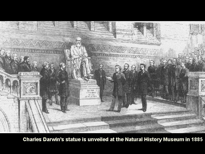 Charles Darwin’s statue is unveiled at the Natural History Museum in 1885 