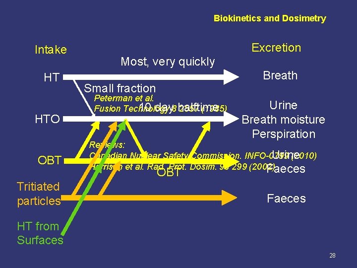 Biokinetics and Dosimetry Intake HT HTO OBT Tritiated particles Excretion Most, very quickly Breath