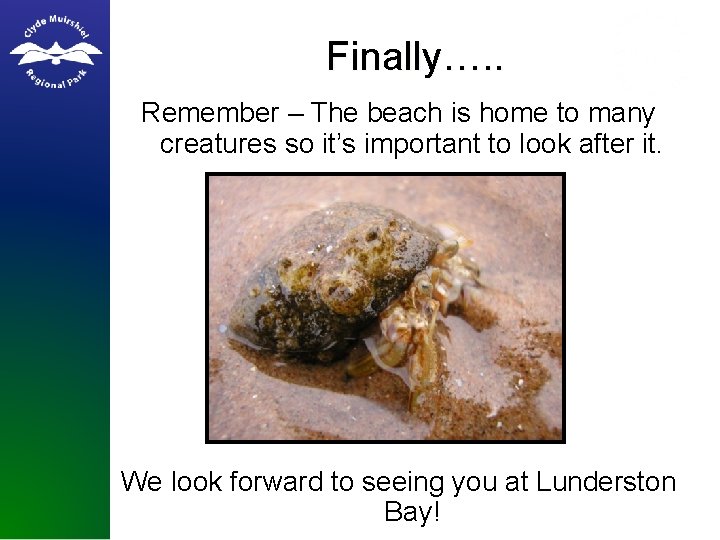 Finally…. . Remember – The beach is home to many creatures so it’s important