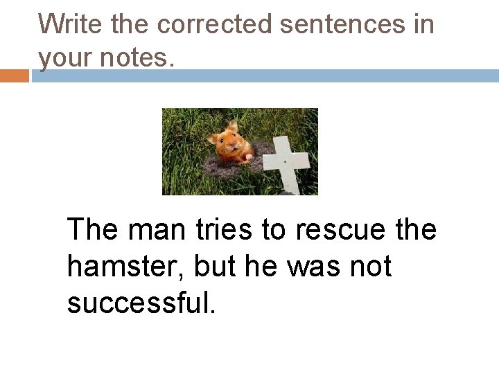 Write the corrected sentences in your notes. The man tries to rescue the hamster,