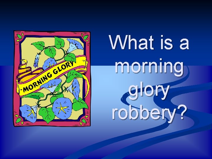 What is a morning glory robbery? 