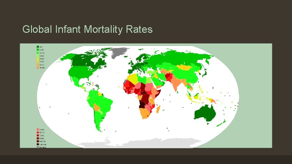 Global Infant Mortality Rates 