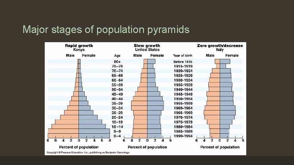 Major stages of population pyramids 