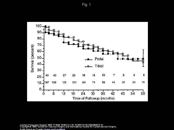 Fig. 1 Journal of Vascular Surgery 1993 171029 -1040 DOI: (10. 1016/0741 -5214(93)90673 -A)