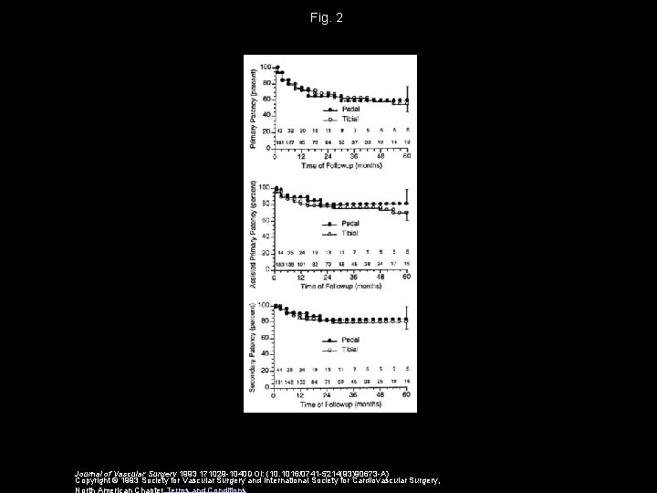 Fig. 2 Journal of Vascular Surgery 1993 171029 -1040 DOI: (10. 1016/0741 -5214(93)90673 -A)