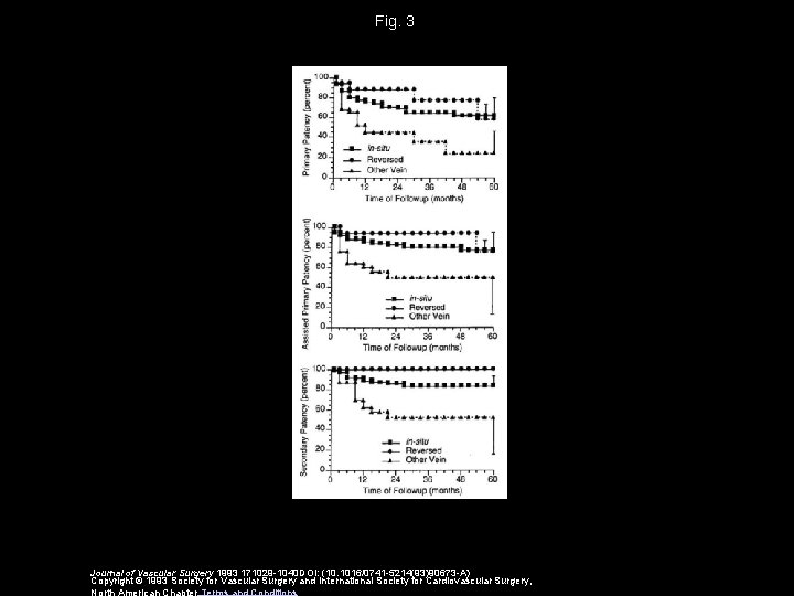 Fig. 3 Journal of Vascular Surgery 1993 171029 -1040 DOI: (10. 1016/0741 -5214(93)90673 -A)