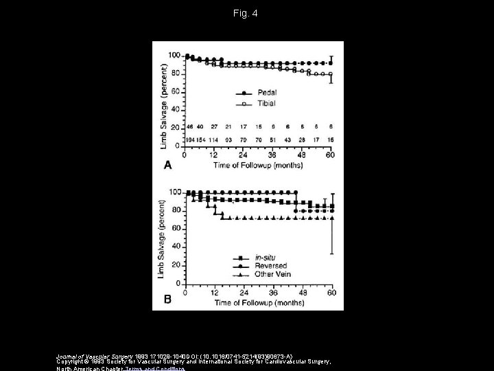 Fig. 4 Journal of Vascular Surgery 1993 171029 -1040 DOI: (10. 1016/0741 -5214(93)90673 -A)