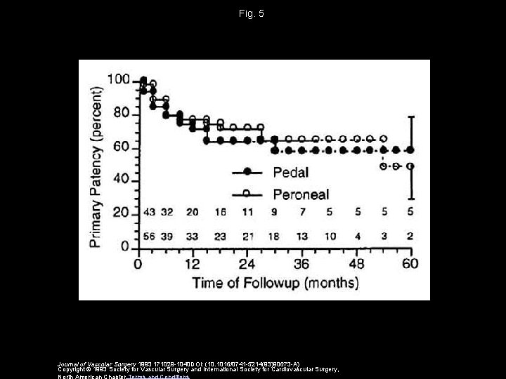 Fig. 5 Journal of Vascular Surgery 1993 171029 -1040 DOI: (10. 1016/0741 -5214(93)90673 -A)