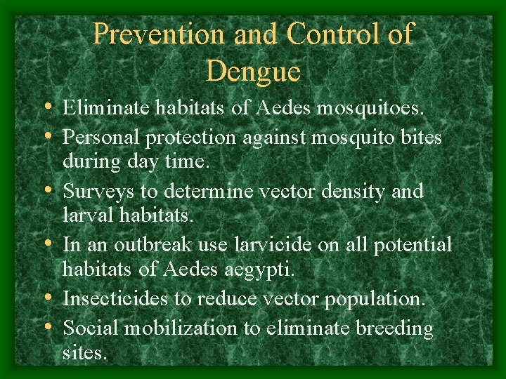 Prevention and Control of Dengue • Eliminate habitats of Aedes mosquitoes. • Personal protection