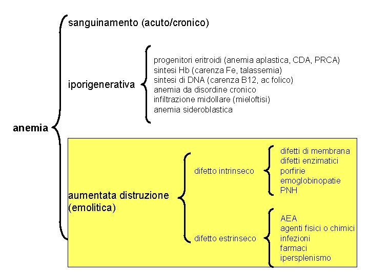 sanguinamento (acuto/cronico) iporigenerativa progenitori eritroidi (anemia aplastica, CDA, PRCA) sintesi Hb (carenza Fe, talassemia)