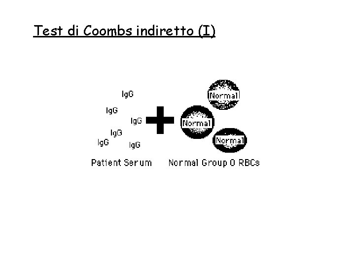 Test di Coombs indiretto (I) 