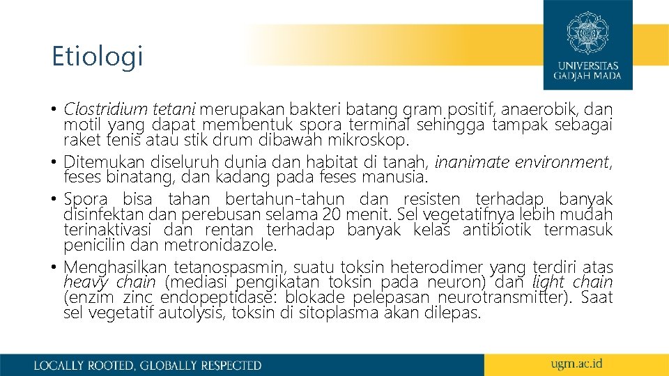 Etiologi • Clostridium tetani merupakan bakteri batang gram positif, anaerobik, dan motil yang dapat
