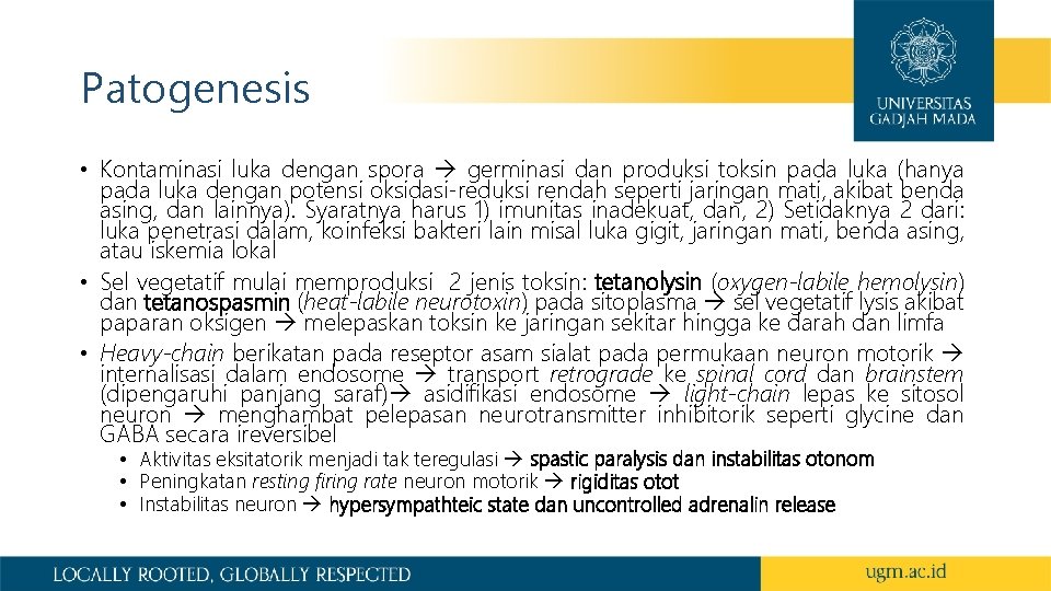 Patogenesis • Kontaminasi luka dengan spora germinasi dan produksi toksin pada luka (hanya pada