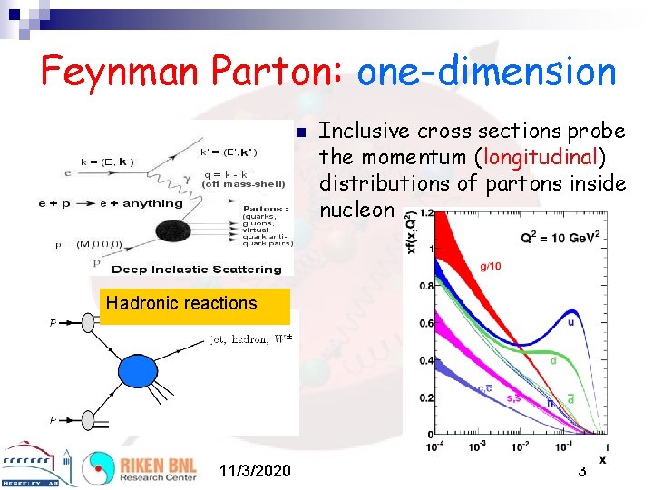 Feynman Parton: one-dimension n Inclusive cross sections probe the momentum (longitudinal) distributions of partons