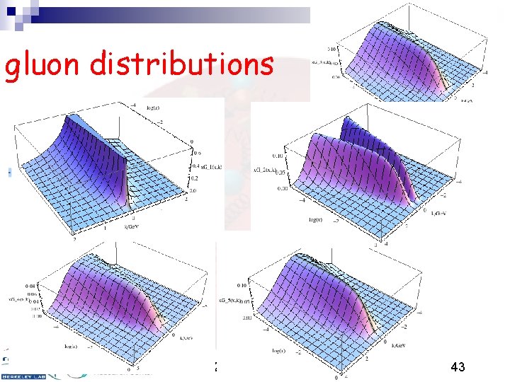 gluon distributions 11/3/2020 43 