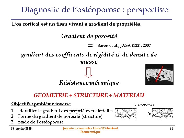 Diagnostic de l’ostéoporose : perspective L’os cortical est un tissu vivant à gradient de